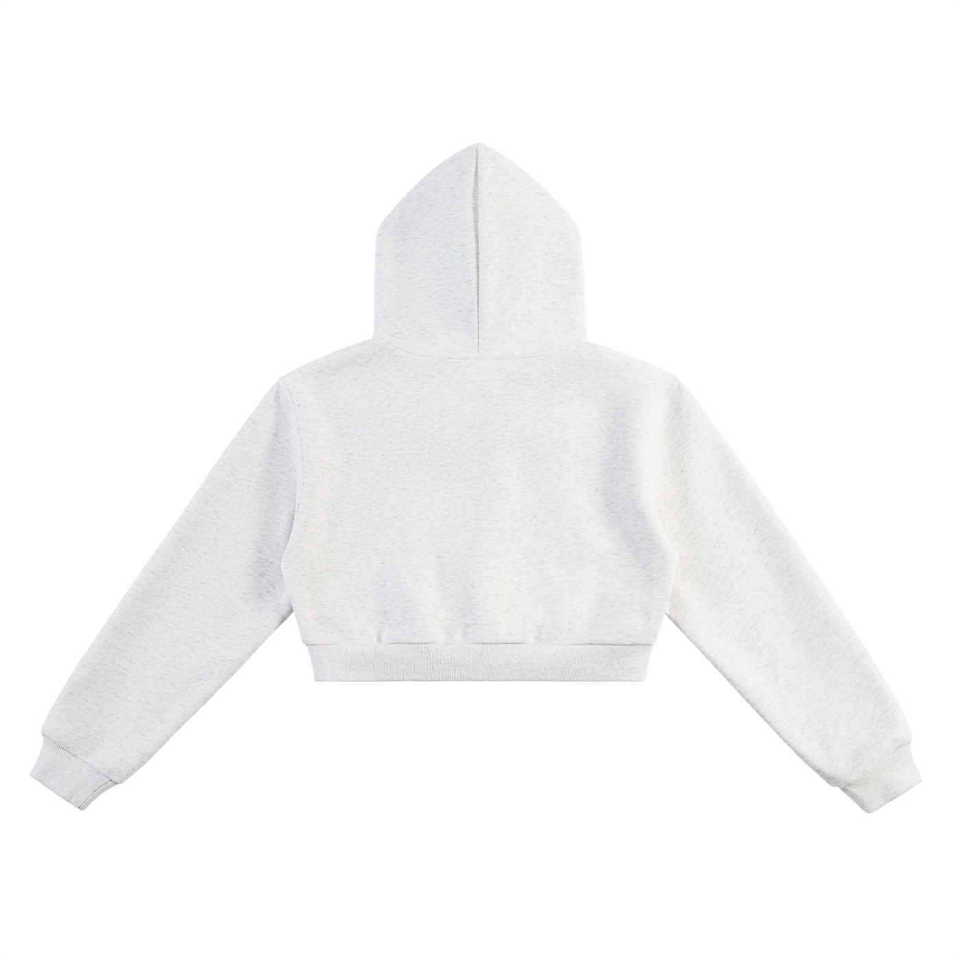 1793 Collection Cropped Hoodie